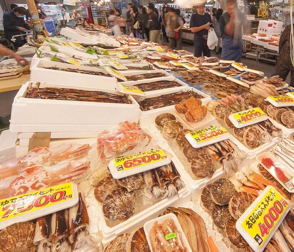 🐟 핫쇼쿠 센터 이미지 3